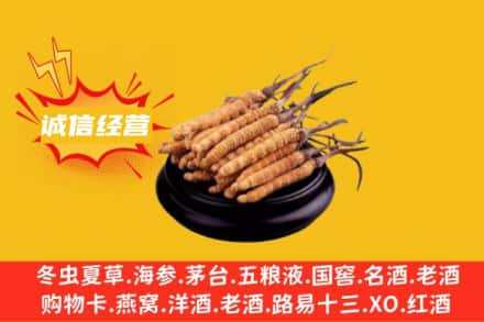 聊城回收冬虫夏草